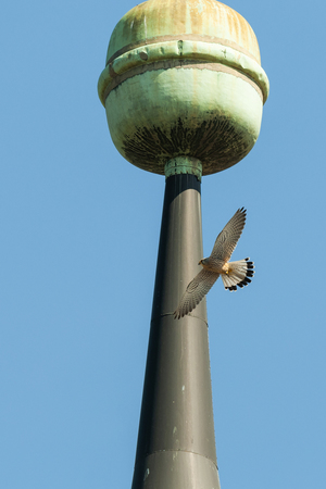 LEANDER KHIL, Leander Khil Leander Khil